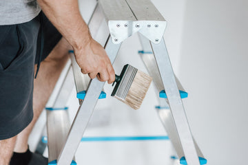 painter climbing ladder