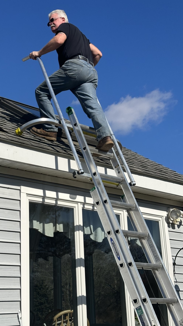 ladder safety rails